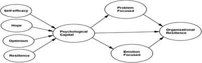 The Mediating Effect of Coping Strategies Between Psychological Capital and Small Tourism Organization Resilience: Insights From the COVID-19 Pandemic, Malaysia